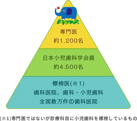 専門医・日本小児歯科学会員・標榜医の三角図